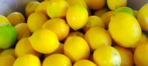 鞆の浦リモンチーノのレモン